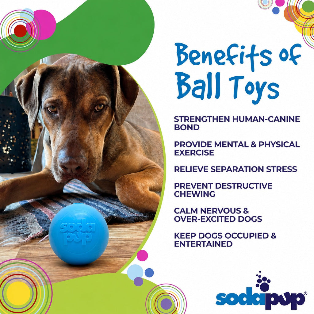 Squeak Ball - Durable