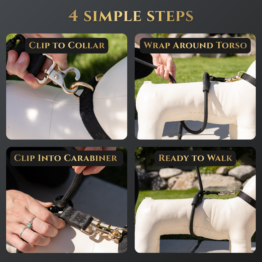 Calm Command No-Pull Leash