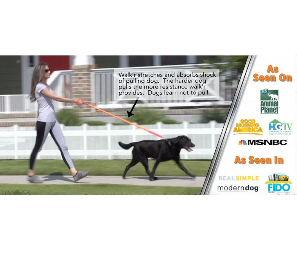 WUNDERleash – No-Pull Dog Leash