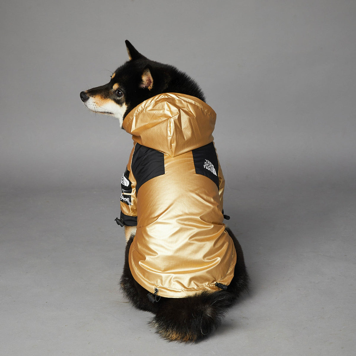 Windproof And Rainproof Dog Jacket