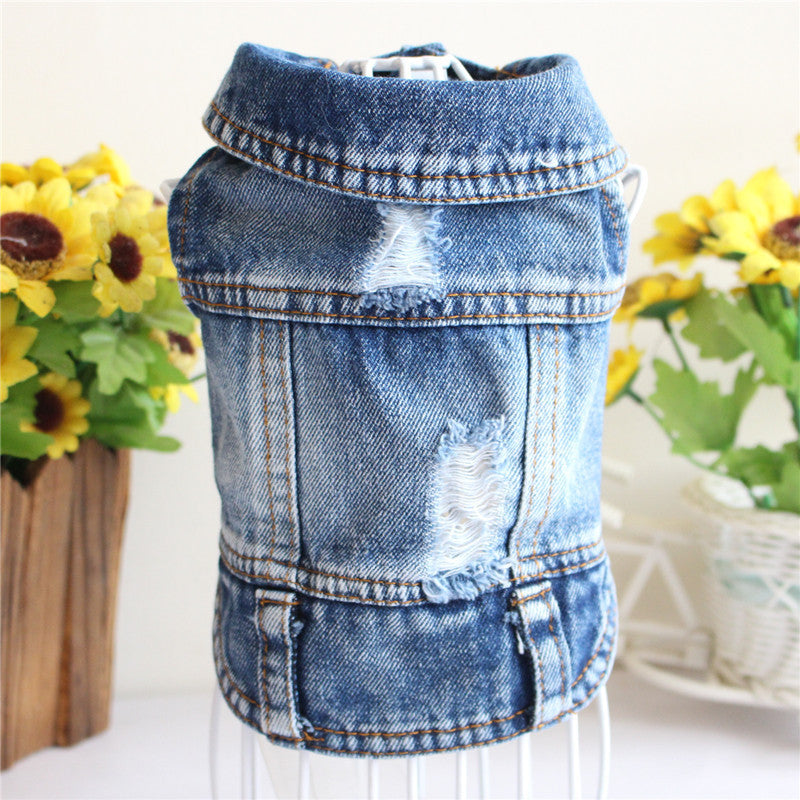 Designer Dog Clothes Small Dog