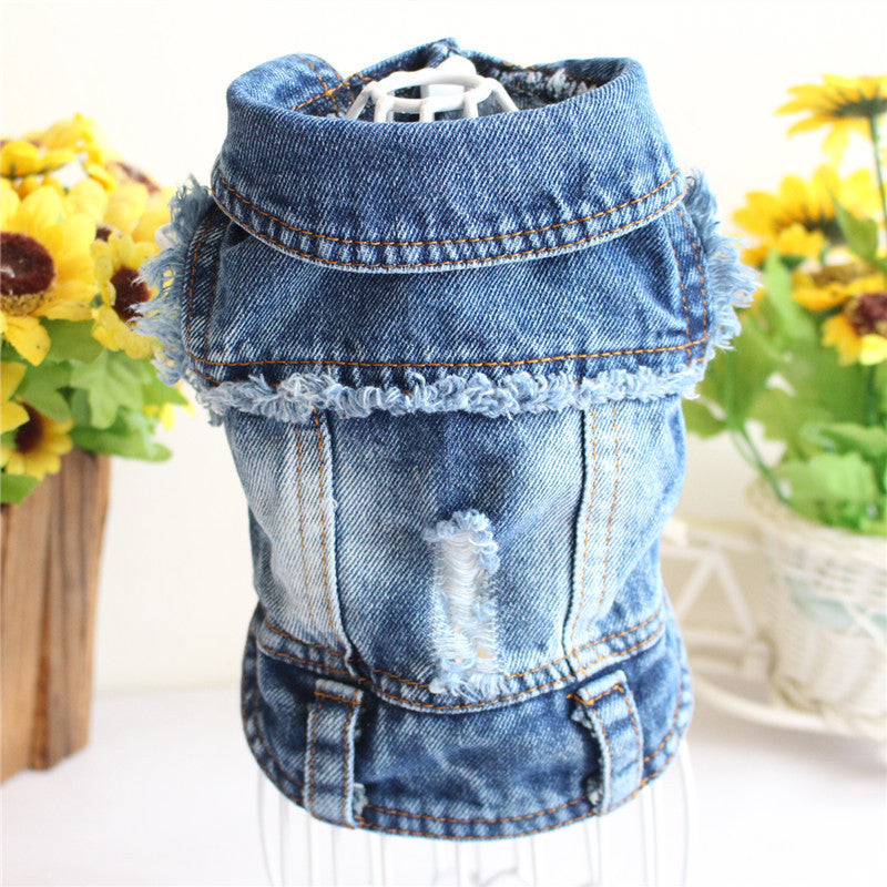 Designer Dog Clothes Small Dog