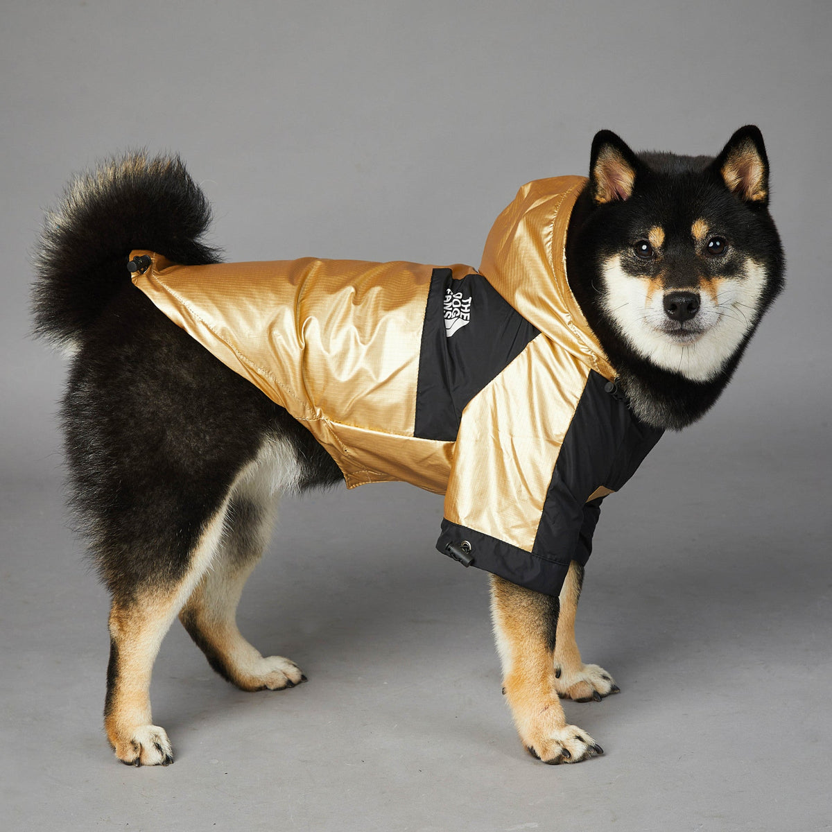 Windproof And Rainproof Dog Jacket