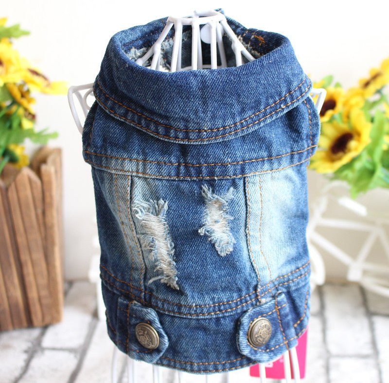 Designer Dog Clothes Small Dog