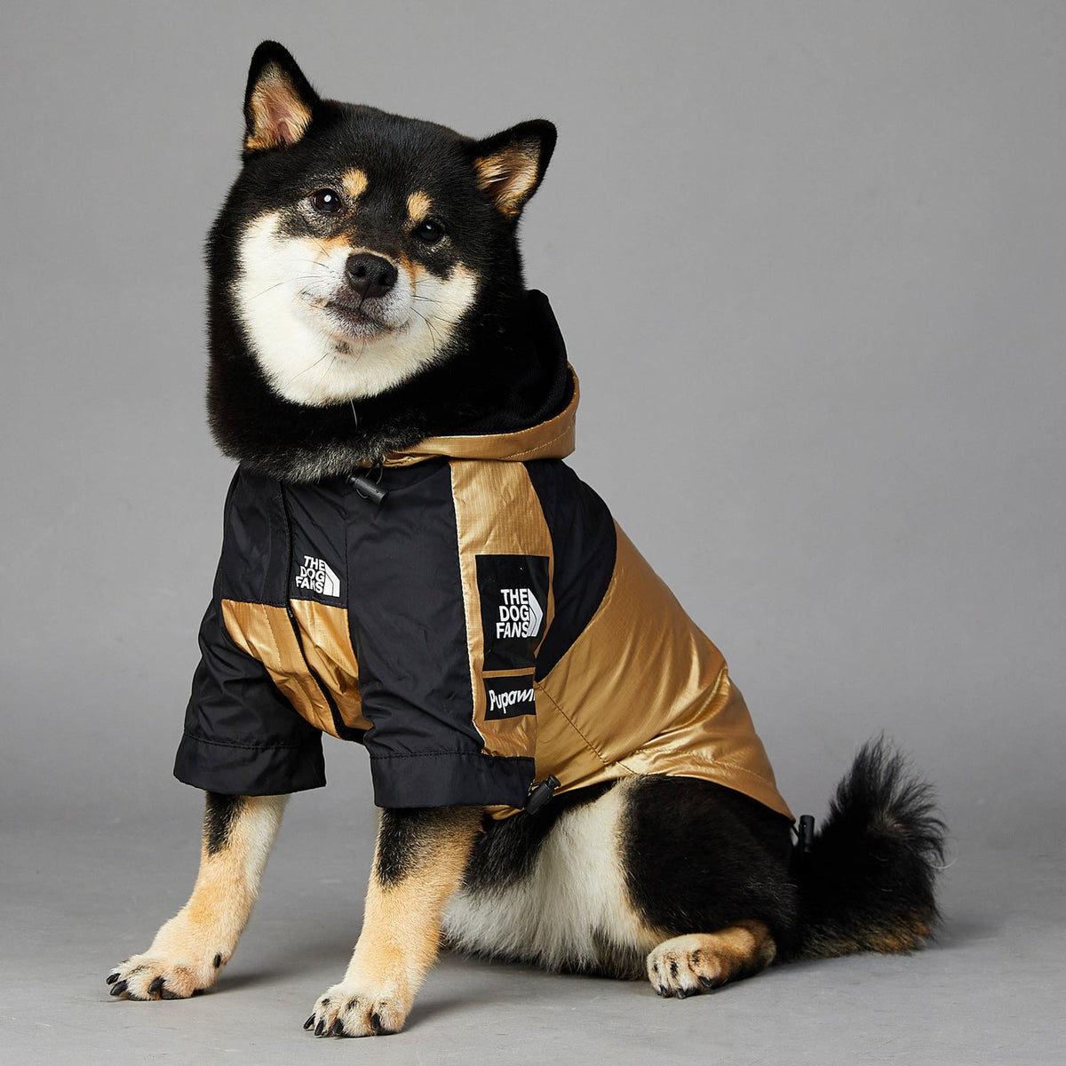 Windproof And Rainproof Dog Jacket