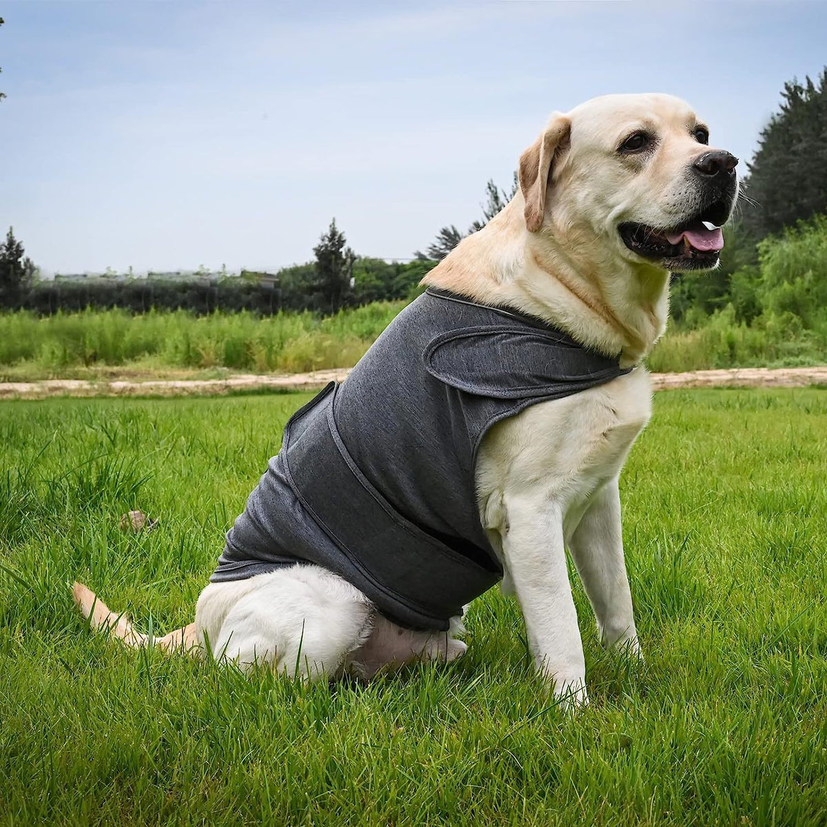 Breathable Thunder Vest