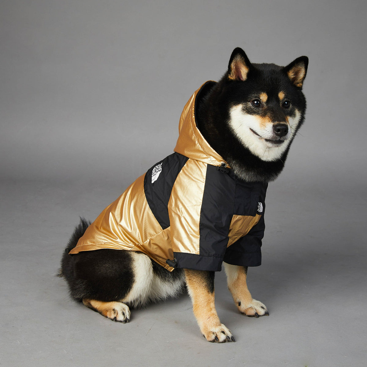 Windproof And Rainproof Dog Jacket