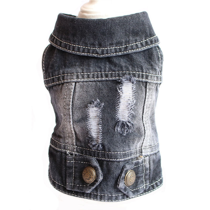 Designer Dog Clothes Small Dog