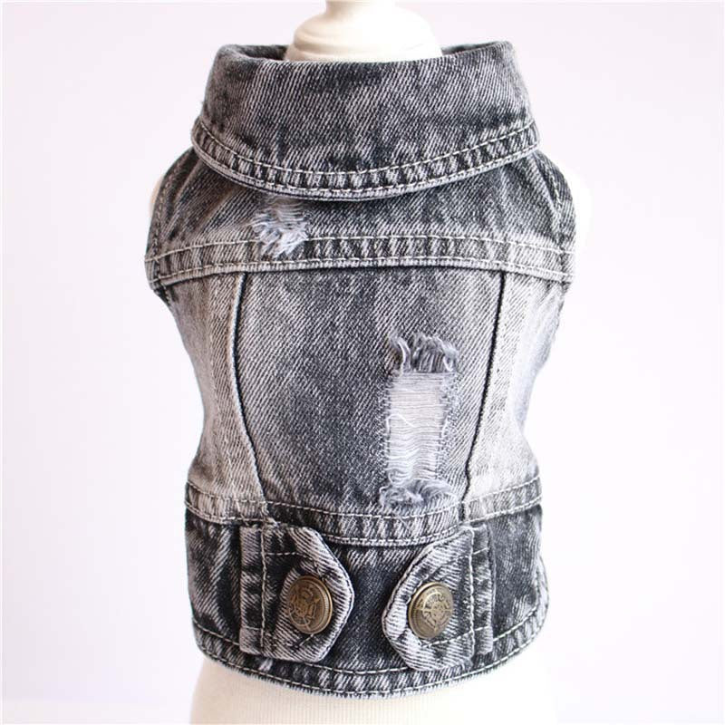 Designer Dog Clothes Small Dog