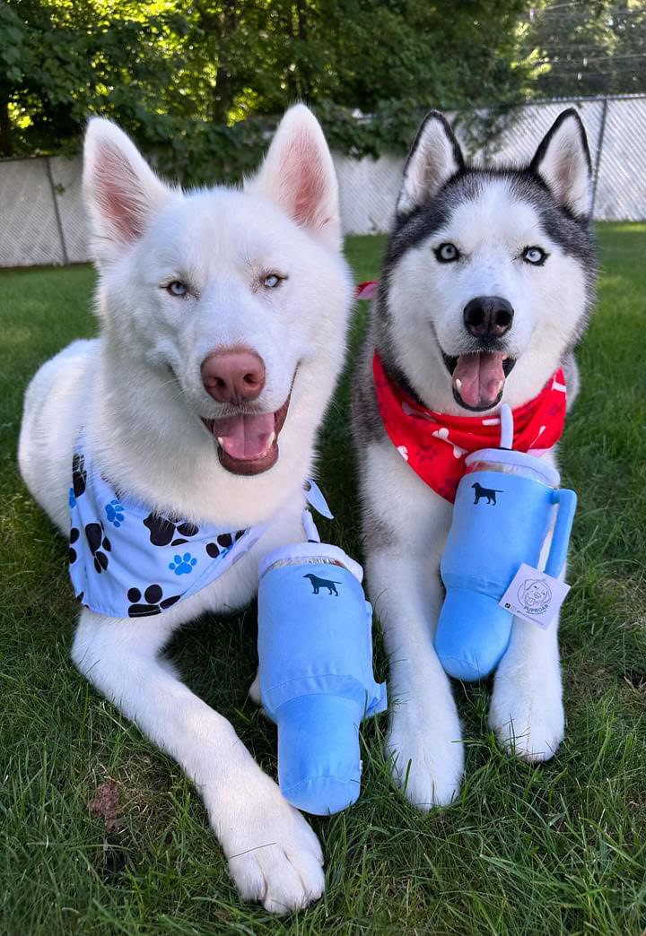 PUPROAR Pup Cup Dog Toy