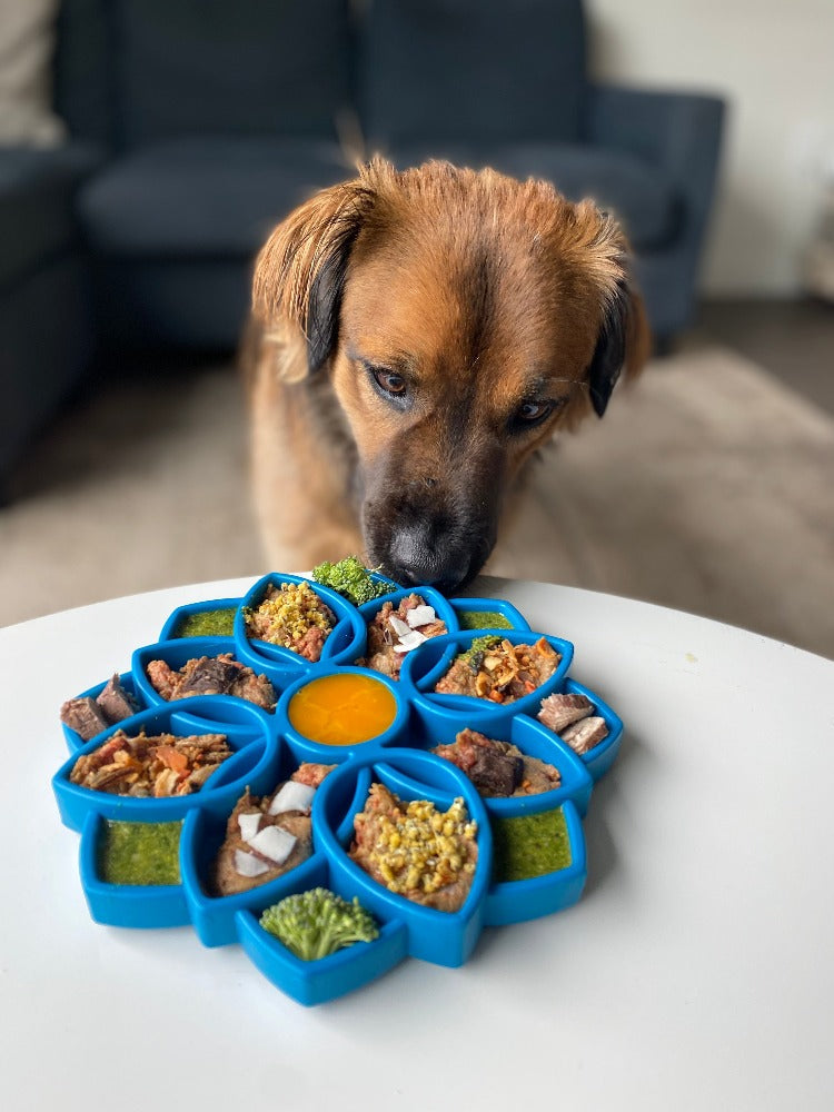 Shallow Slow Feeder Dog Bowl