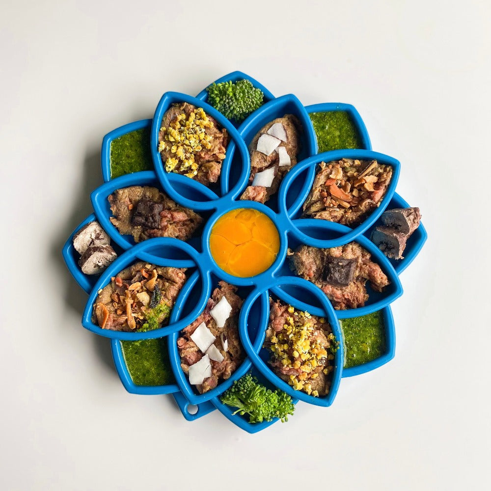 Shallow Slow Feeder Dog Bowl