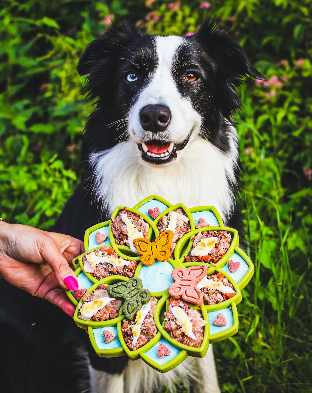 Shallow Slow Feeder Dog Bowl