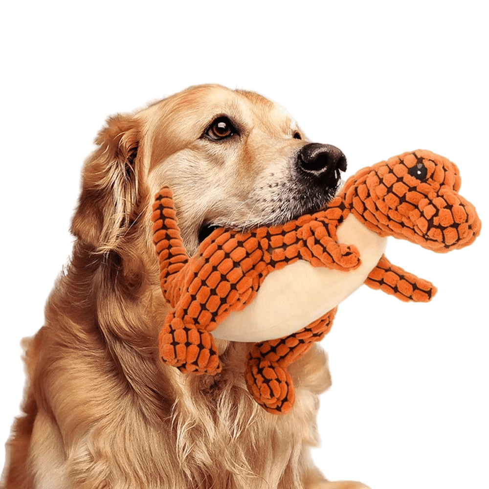 Plush Dog Chew Toy