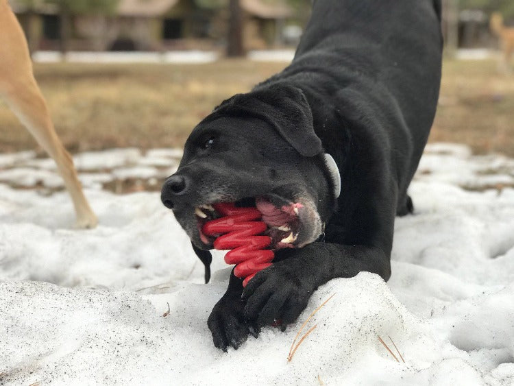 Christmas Tree Nylon Dog Chew Toy