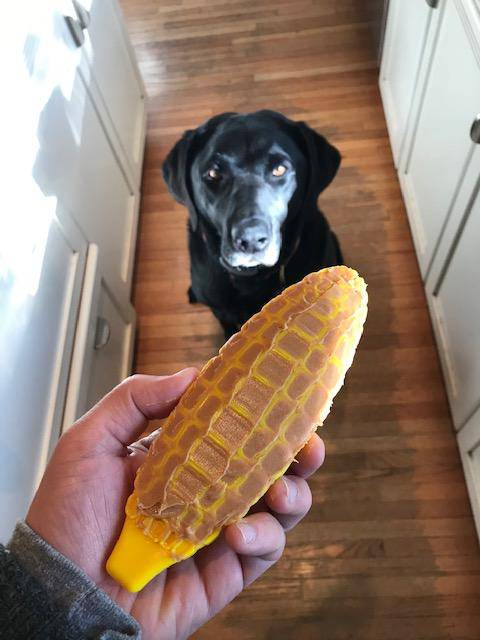 Corn on the CobToy for Aggressive Chewers