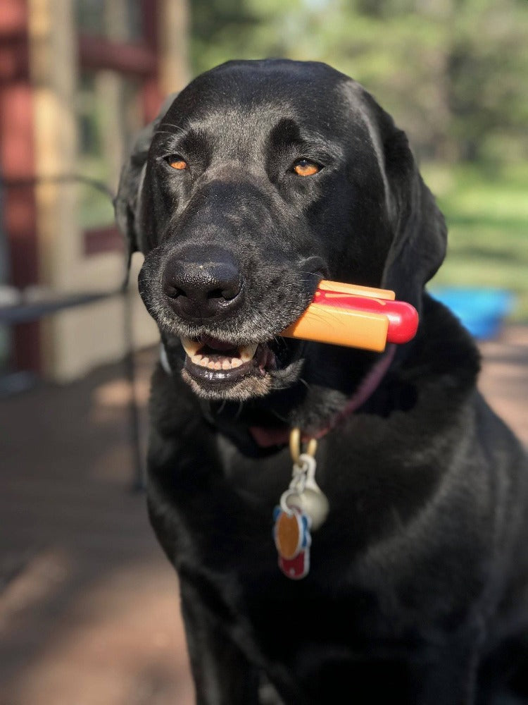 Hot Dog Nylon Dog Toy