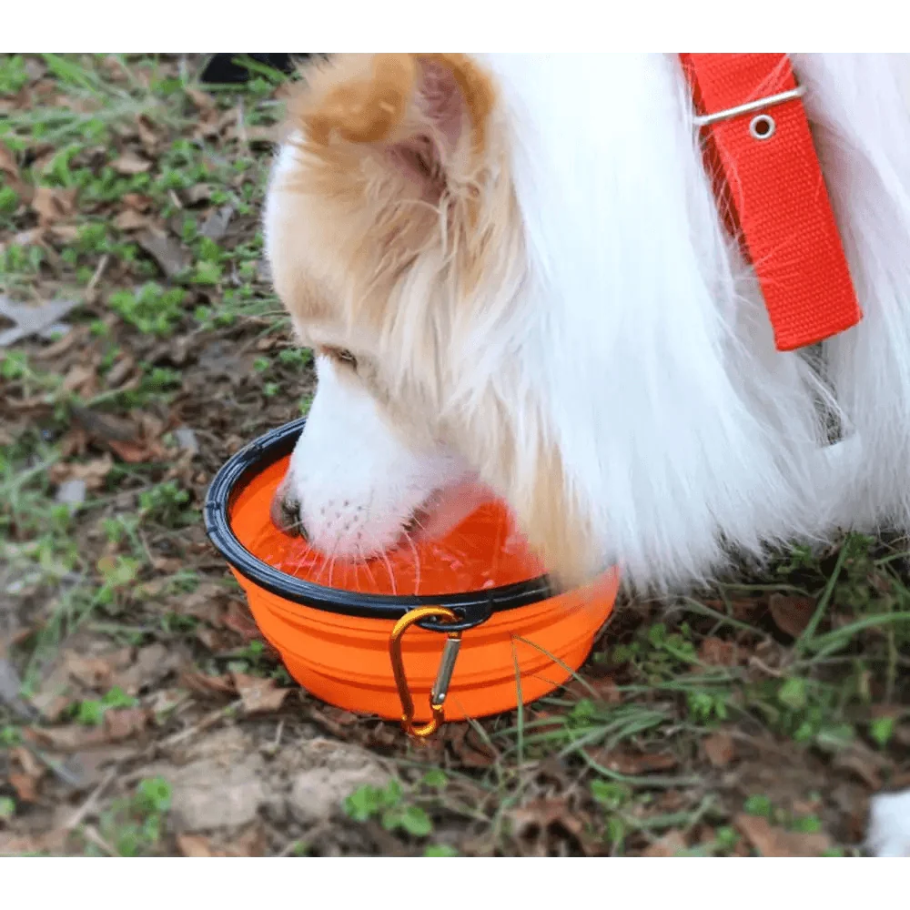 Colorful Collapsible Silicone Dog Food Water Bowl