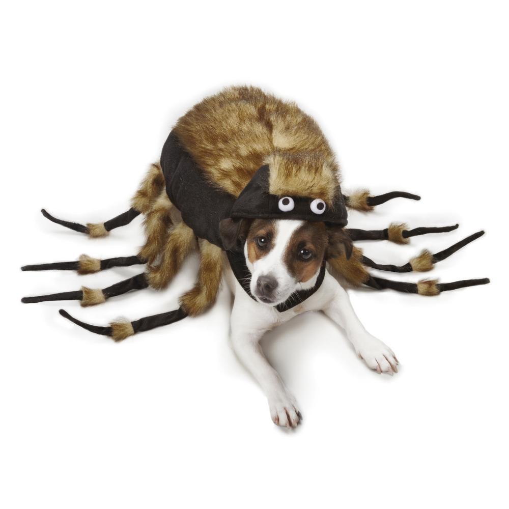 Tarantula Dog Costume